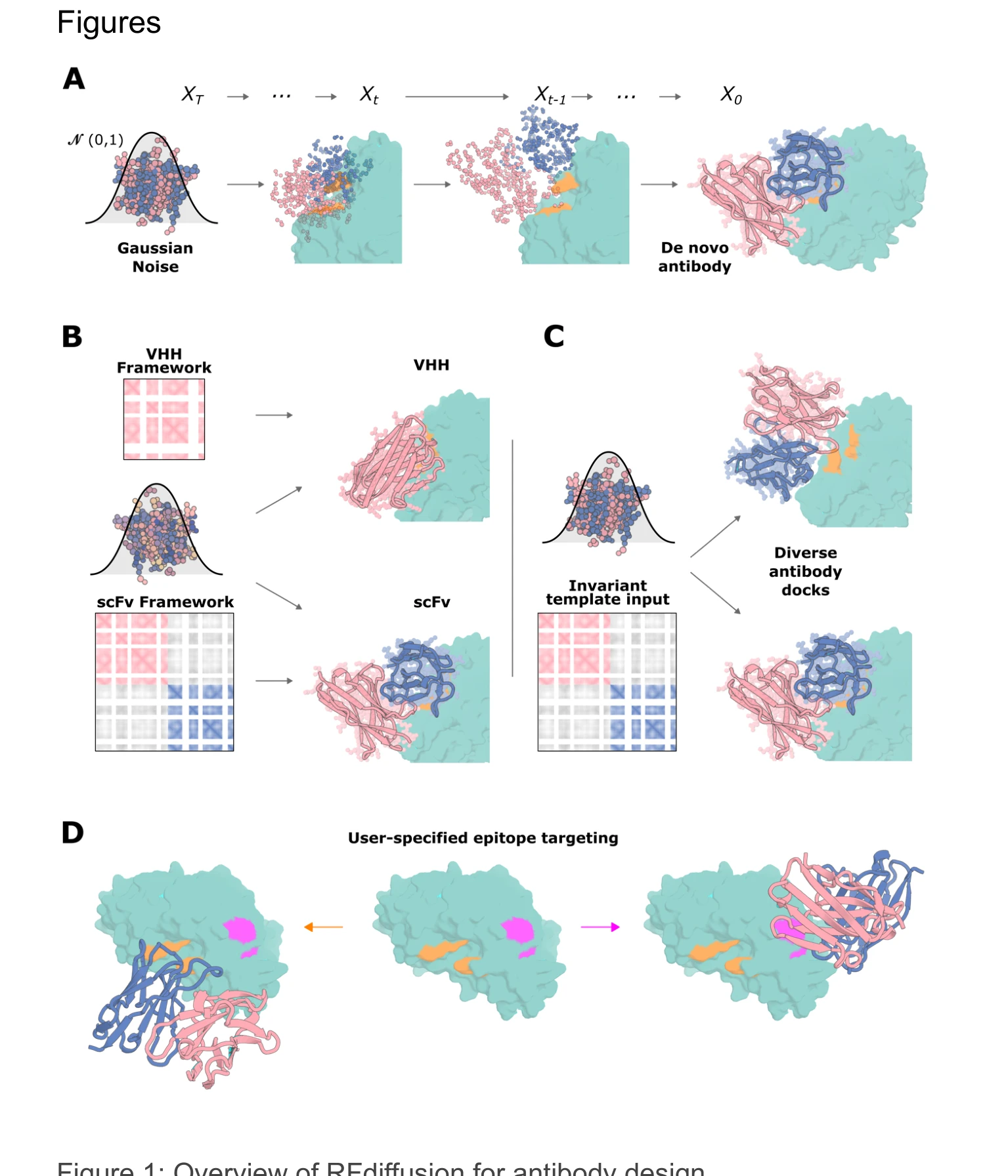 Figure 1: Overview of RFdiffusion for antibody design