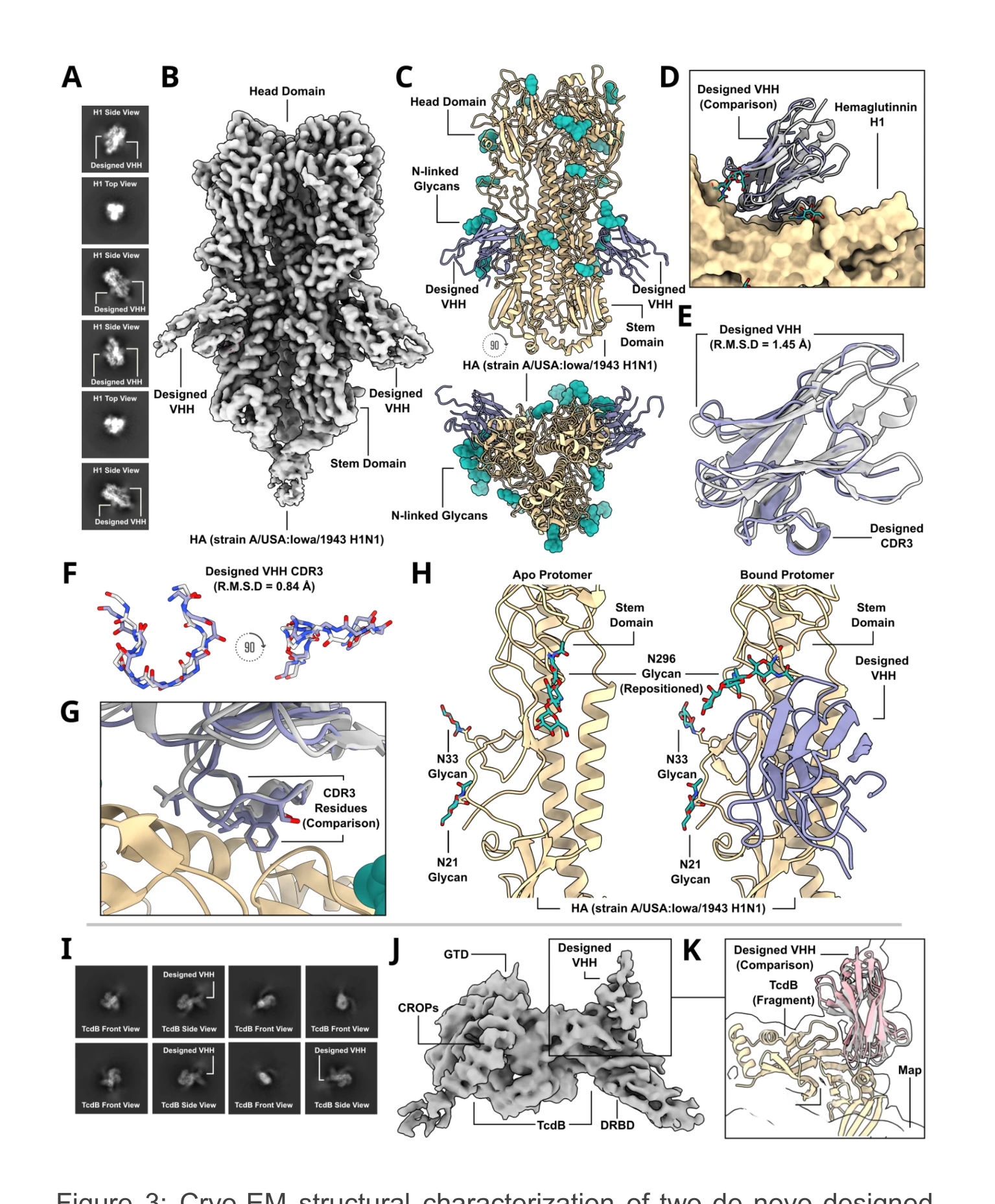 Figure 3: Cryo-EM structural characterization of two de novo designed VHHs