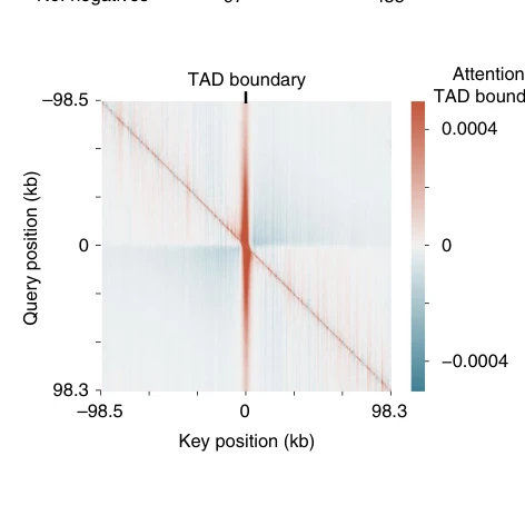 Figure 2: Enformer attends to cell-type-specific enhancers, enabling enhancer prioritization