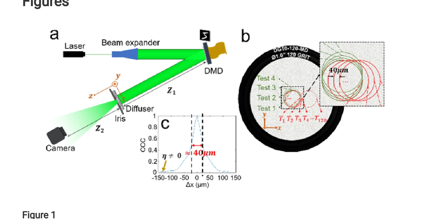Figure 1