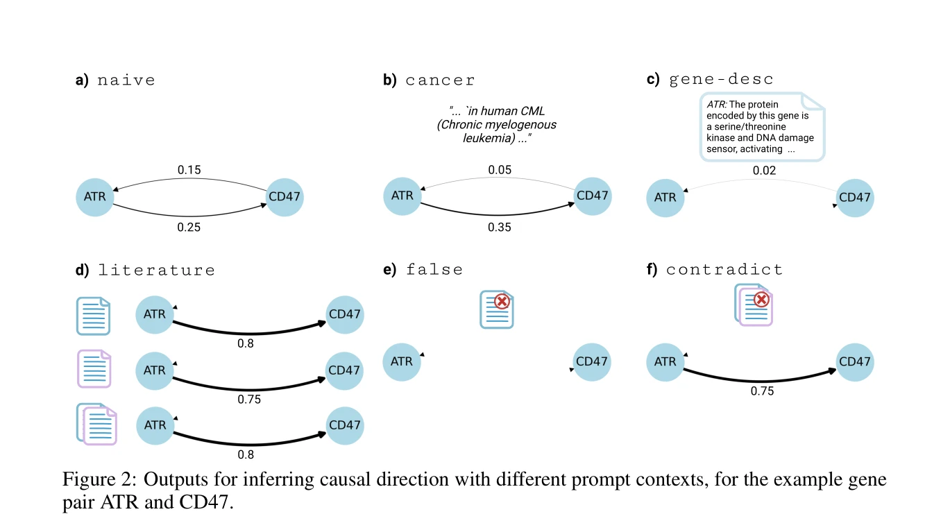 Figure 2: Outputs for inferring causal direction with different prompt contexts, for the example gene