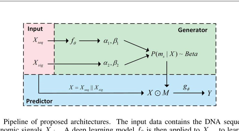 Figure 2: Pipeline of proposed architectures. The input data contains the DNA sequence Xseq