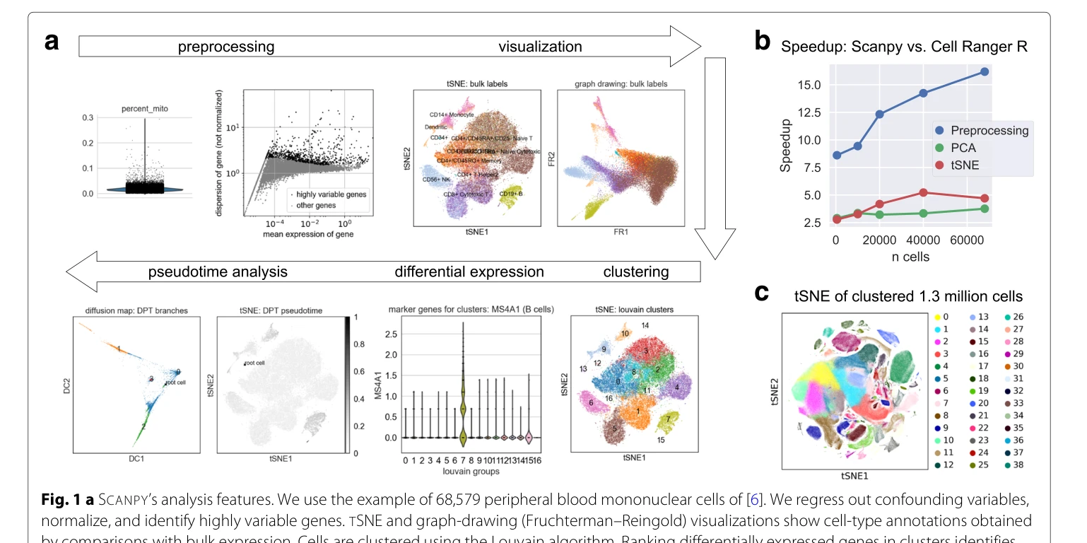 Fig 1a - SCANPY 분석 기능 개요