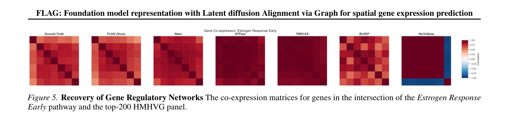 Figure 5